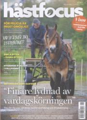 Hästfocus Hästfocus