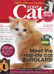 Your Cat Your Cat