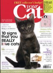 Your Cat Your Cat