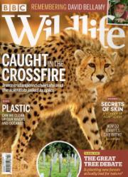 BBC Wildlife BBC Wildlife