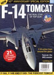 F-14 Tomcat F-14 Tomcat