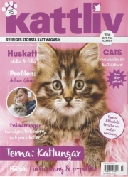Kattliv