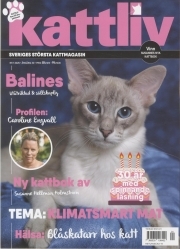 Kattliv