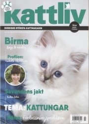 Kattliv