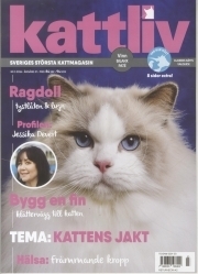 Kattliv