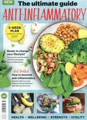 Anti Inflammat Recipes