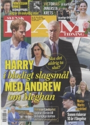 Svensk Damtidning