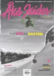 Åka Skidor