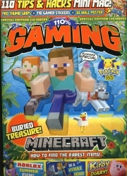 110 Gaming