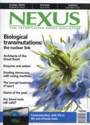 Nexus Nexus