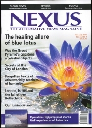 Nexus