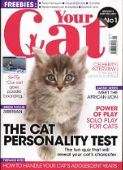 Your Cat Your Cat