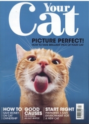 Your Cat