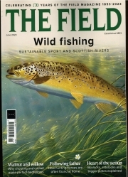 Field /The