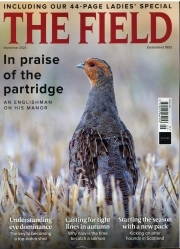 Field /The