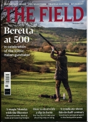 Field /The