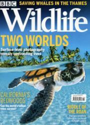 BBC Wildlife
