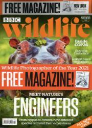 BBC Wildlife