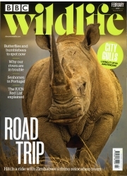 BBC Wildlife
