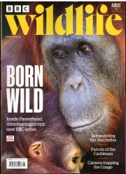 BBC Wildlife