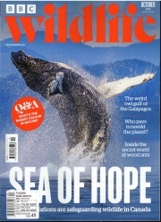 BBC Wildlife