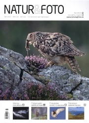 Natur & Foto NO