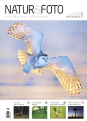 Natur & Foto NO