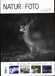 Natur & Foto NO