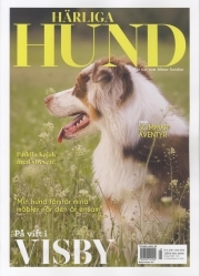 Härliga Hund