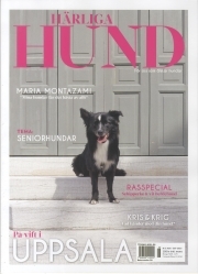 Härliga Hund
