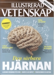 IllVeteSpecSårbaraHjärnan