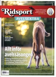 Ridsport