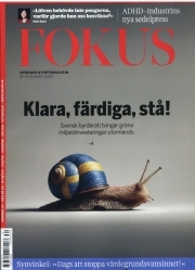 Fokus