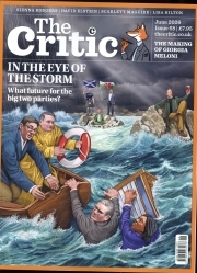 The Critic