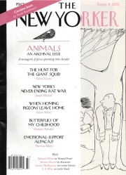 New Yorker