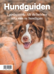 Hundguiden