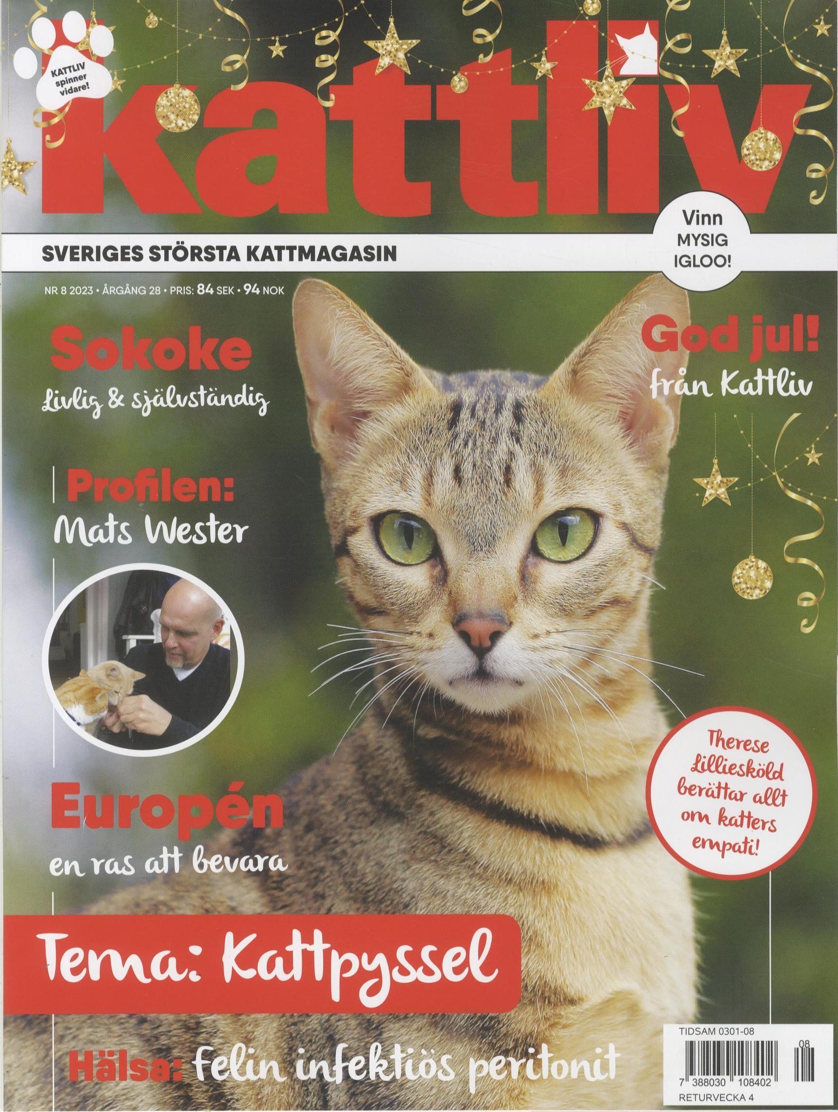 Kattliv