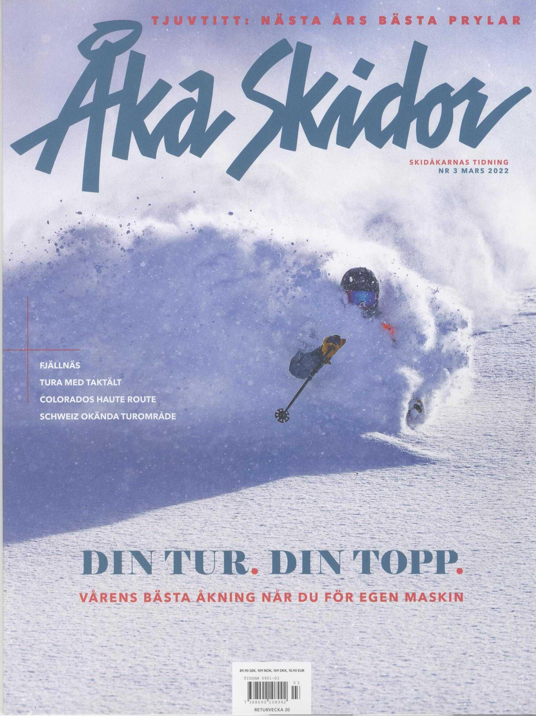 Åka Skidor