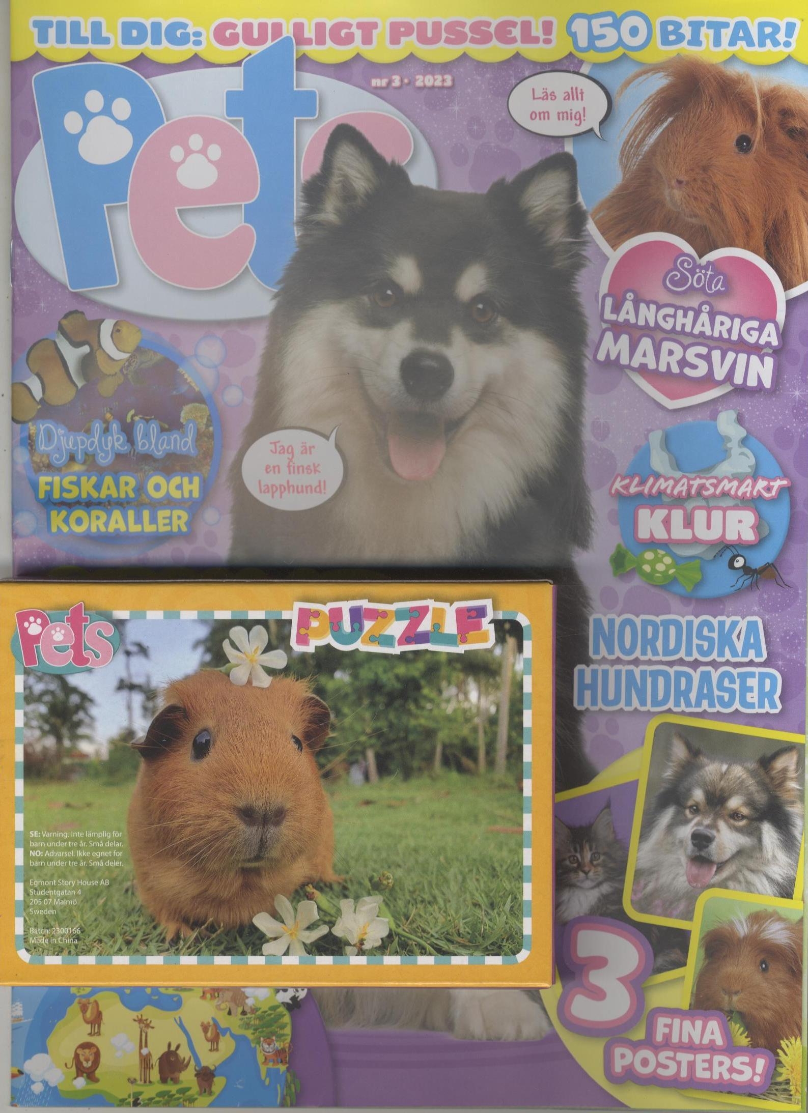 Pets