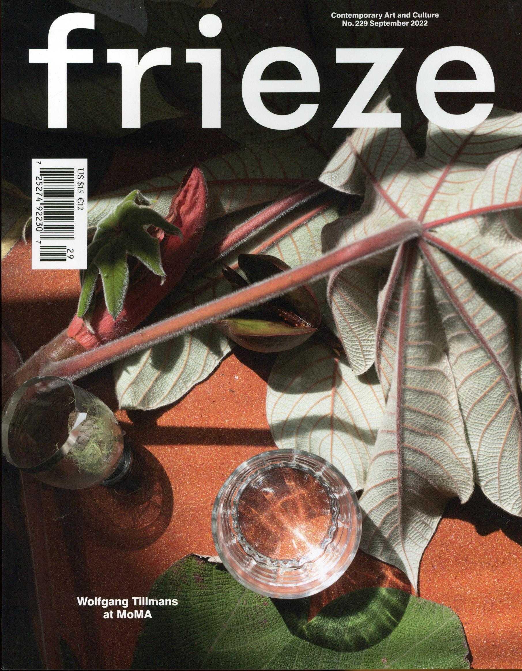 Frieze (UK)