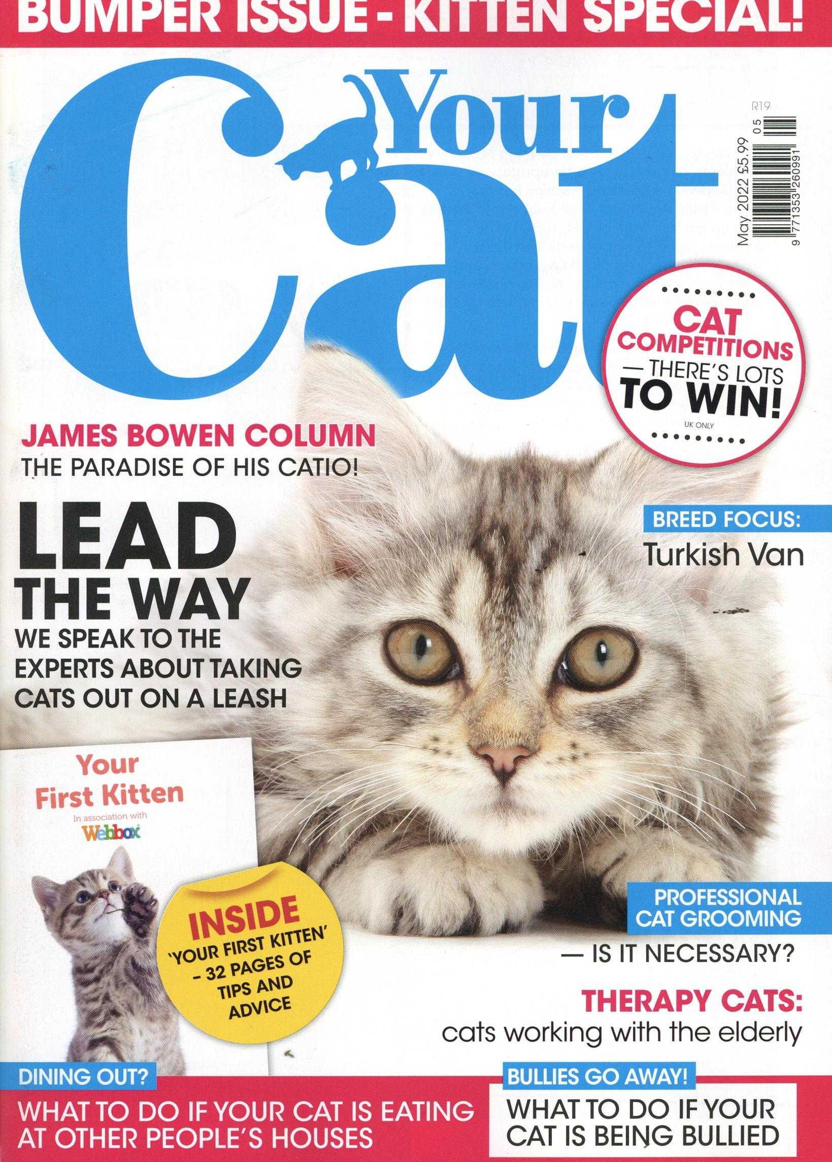 Your Cat