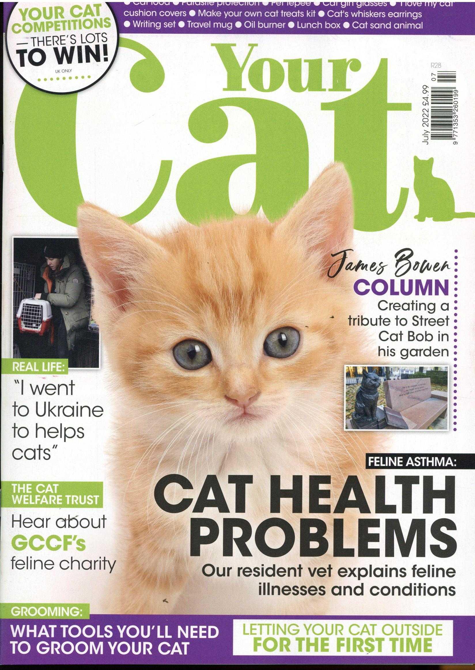 Your Cat