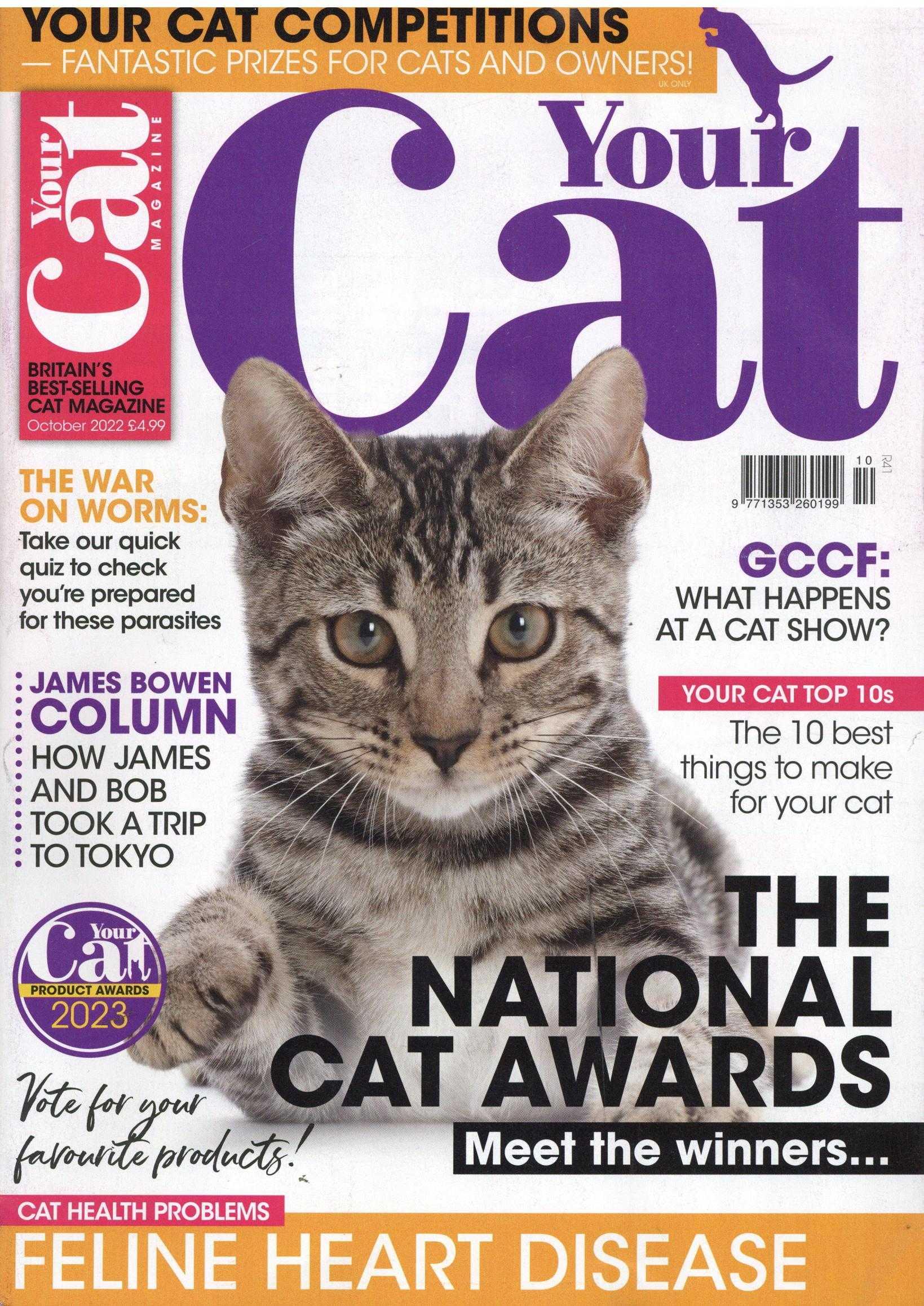 Your Cat