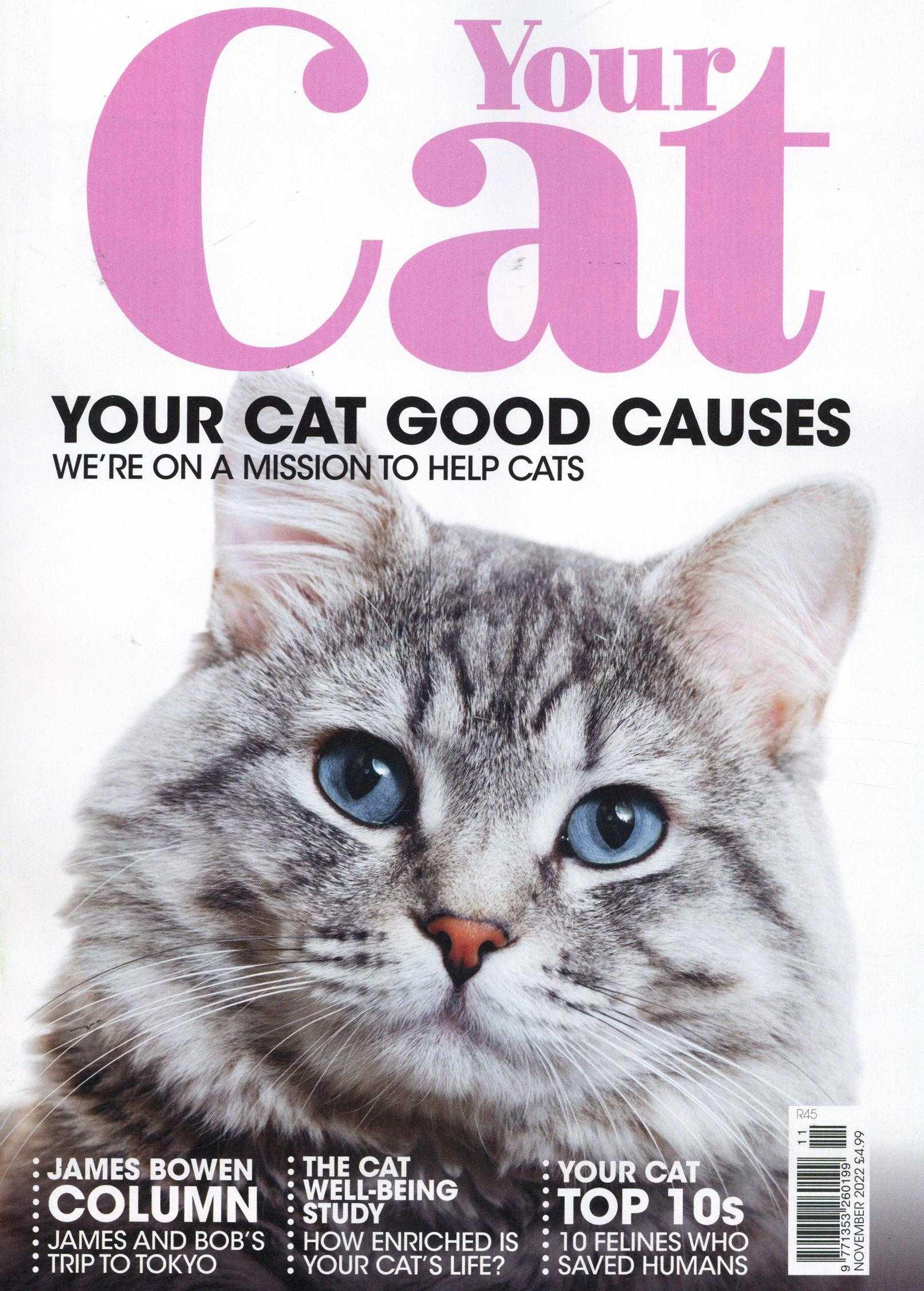 Your Cat