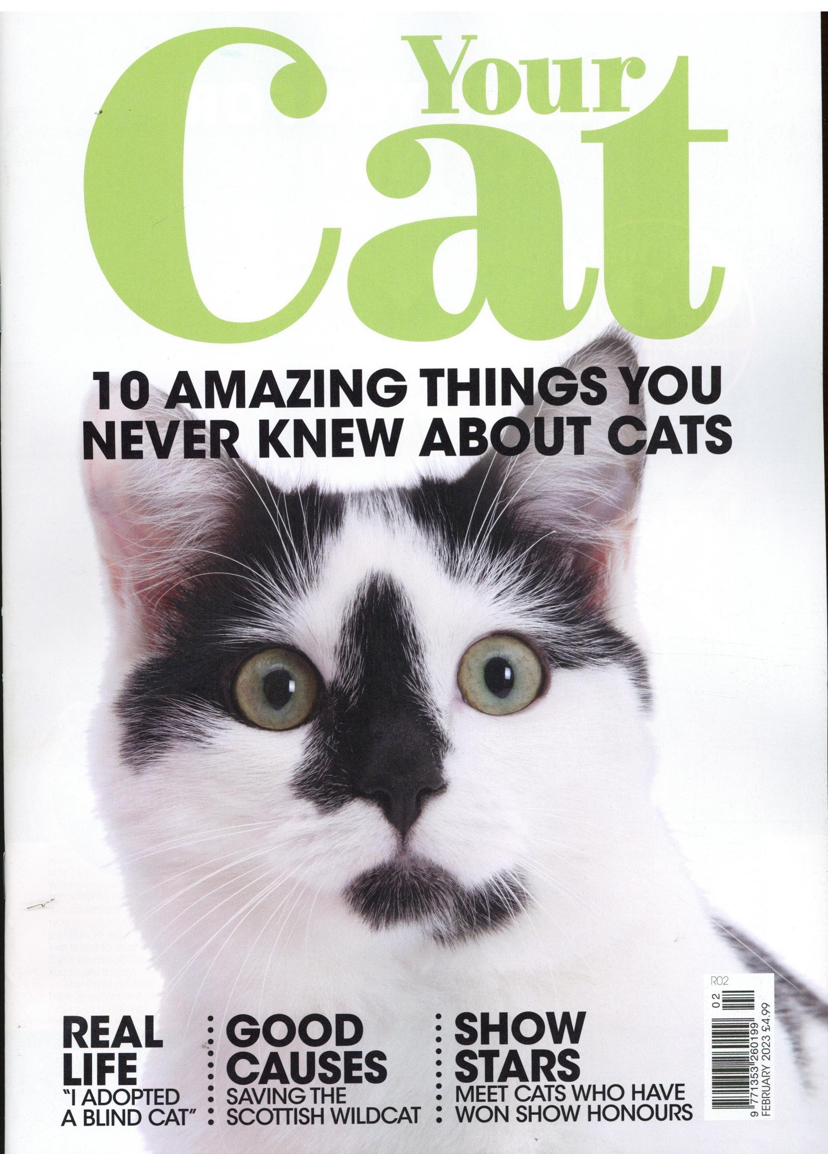 Your Cat