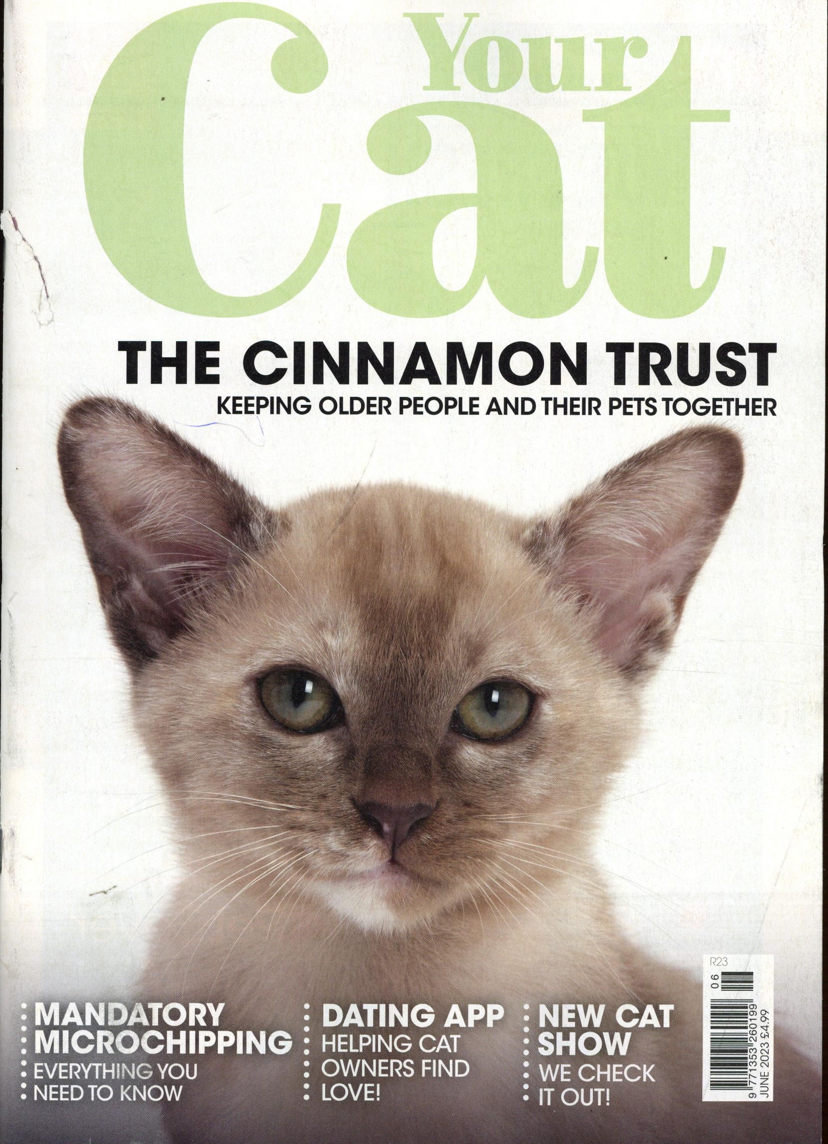 Your Cat