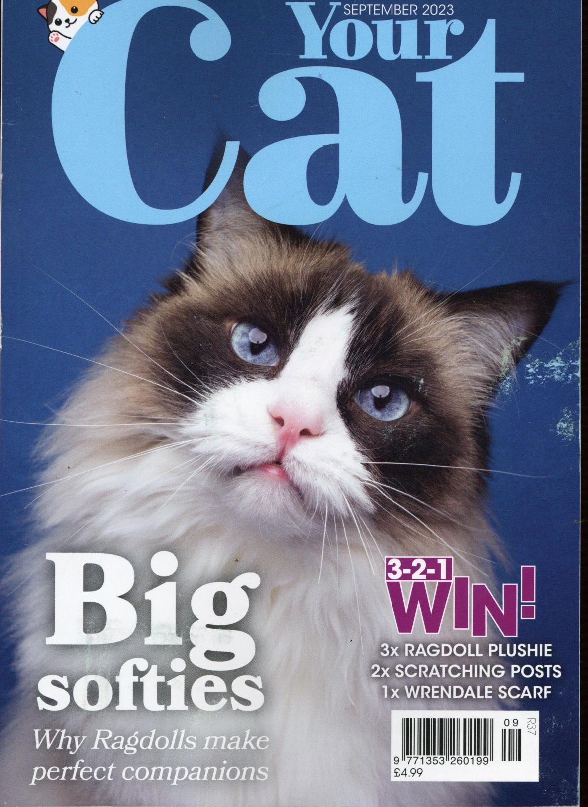 Your Cat