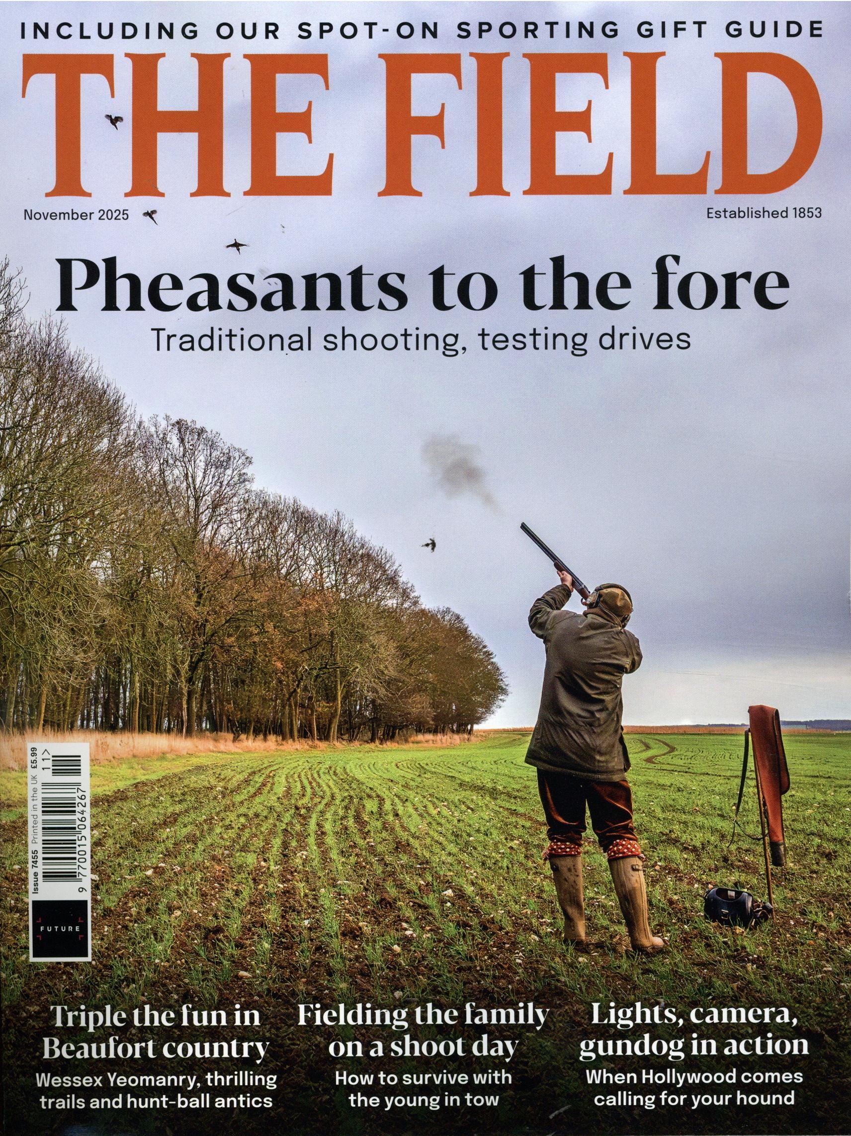 Field /The