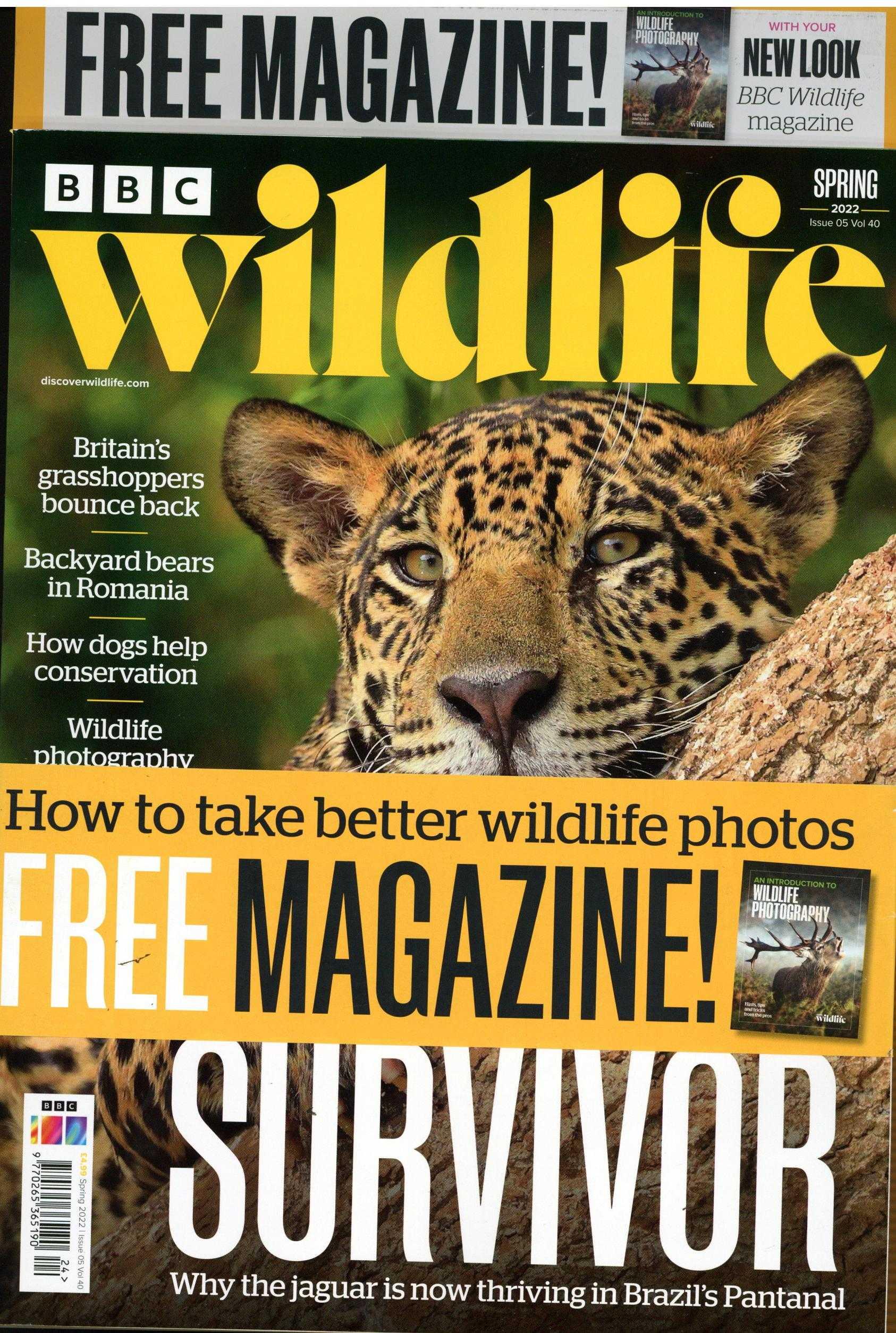 BBC Wildlife