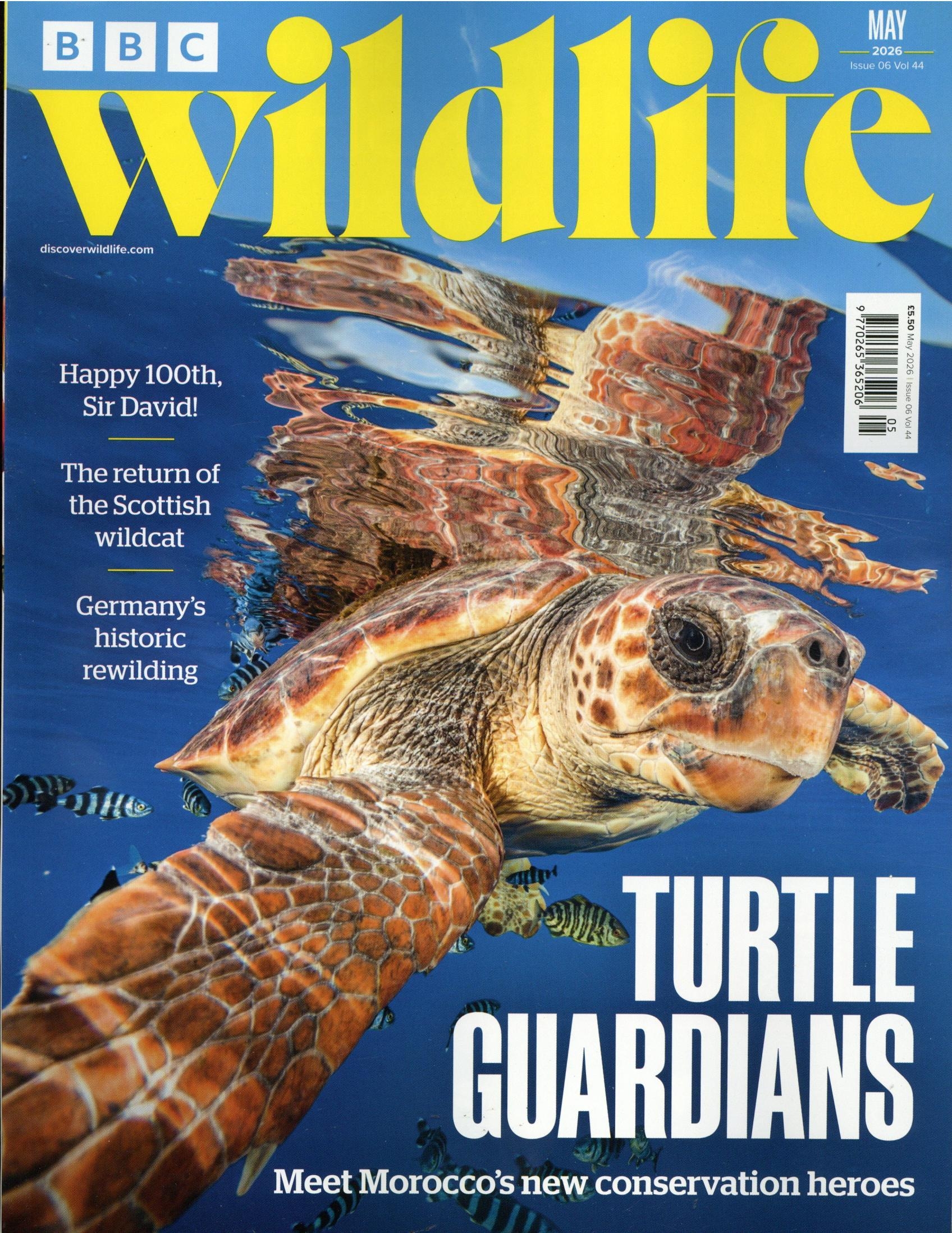 BBC Wildlife